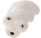 Corde Plombée Ø 8mm Blanc au ml