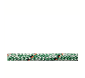 Marlow D2 Club Drisse Dyneema Ø 10mm Chiné Vert